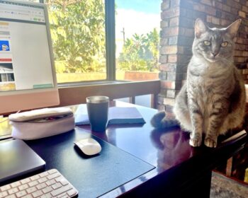 meneesha; justmeneesha; workspace; creativity; meneesha govender